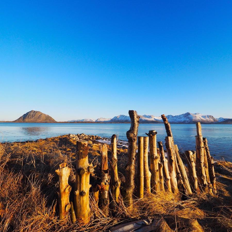 Eagle View Lofoten Bostad Екстериор снимка